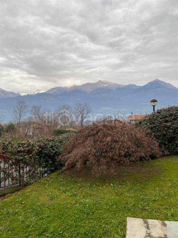 immagine annuncio 12 di 14