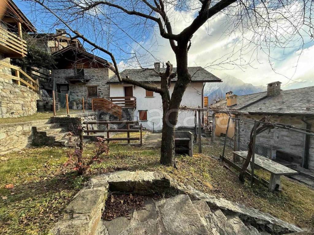 immagine annuncio 11 di 15