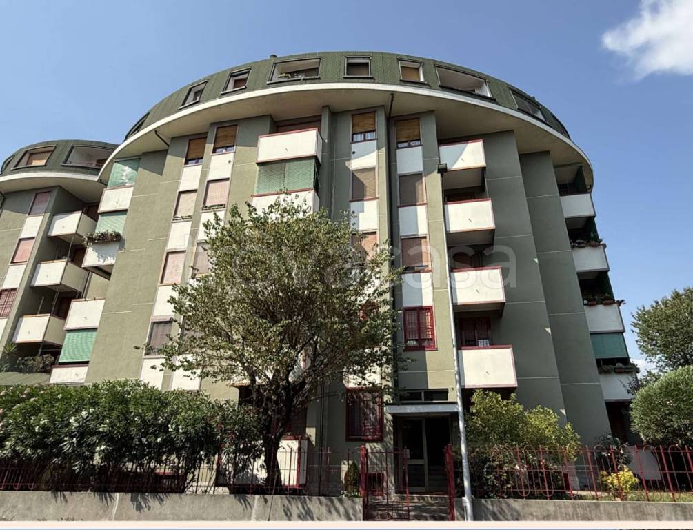 immagine annuncio 7 di 15