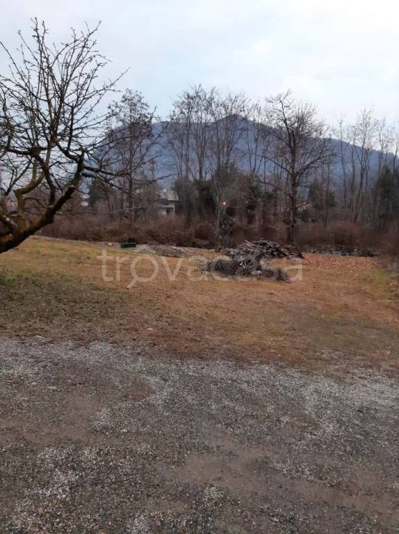 immagine annuncio 9 di 11