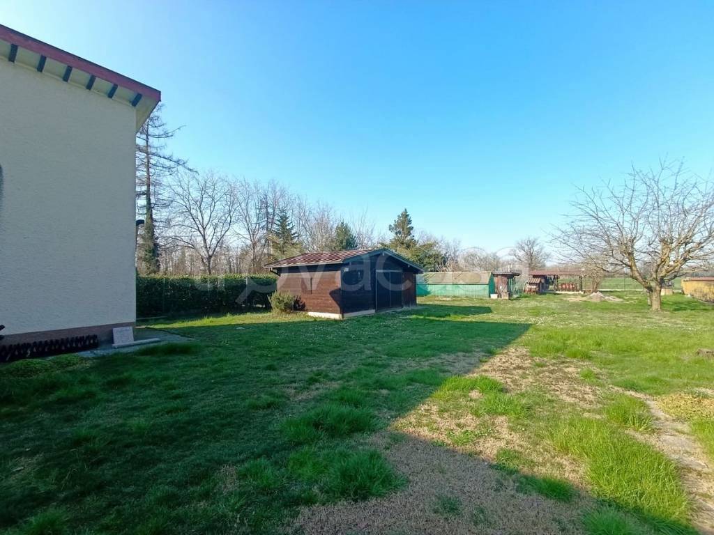 immagine annuncio 5 di 15