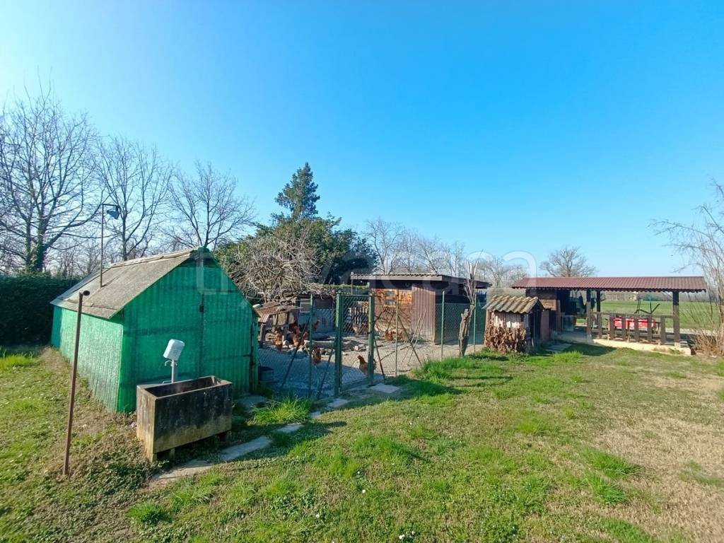 immagine annuncio 9 di 15