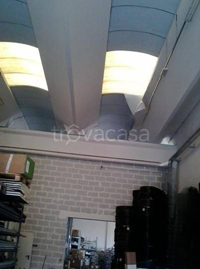 immagine annuncio 6 di 12