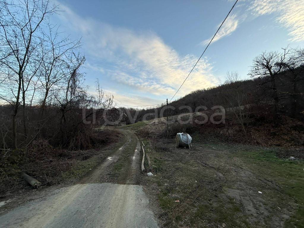 immagine annuncio 6 di 7