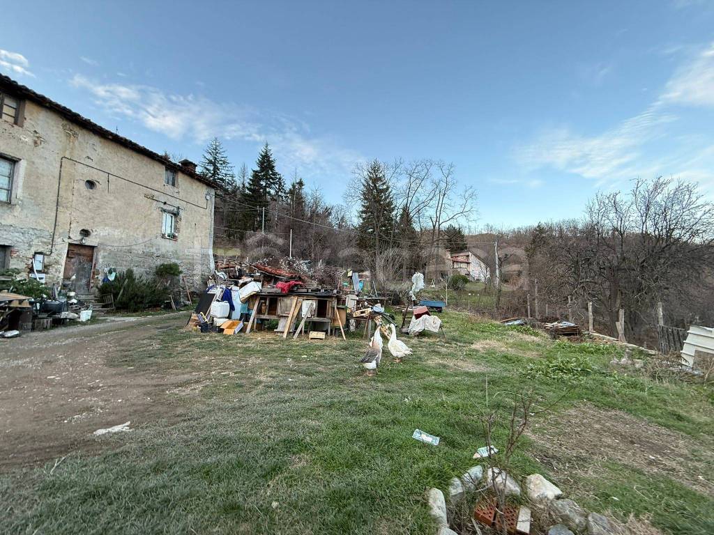 immagine annuncio 2 di 7