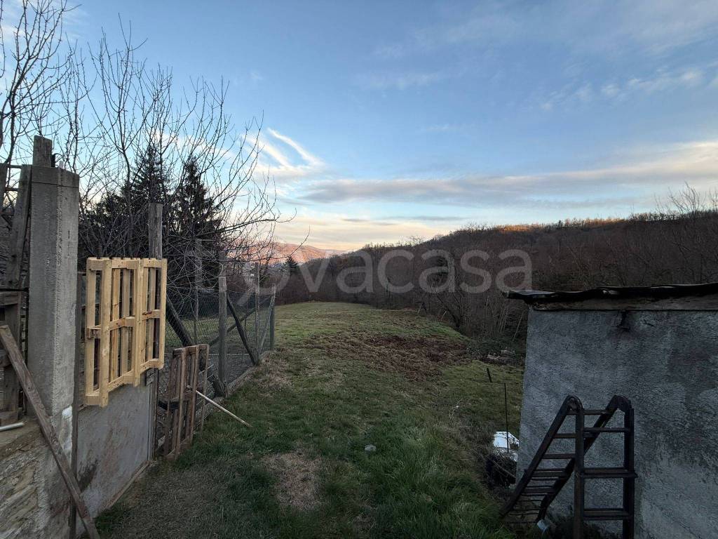 immagine annuncio 5 di 7