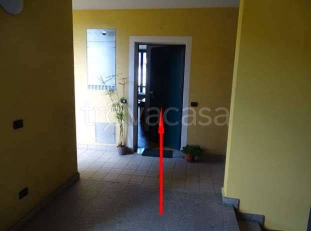 immagine annuncio 5 di 12