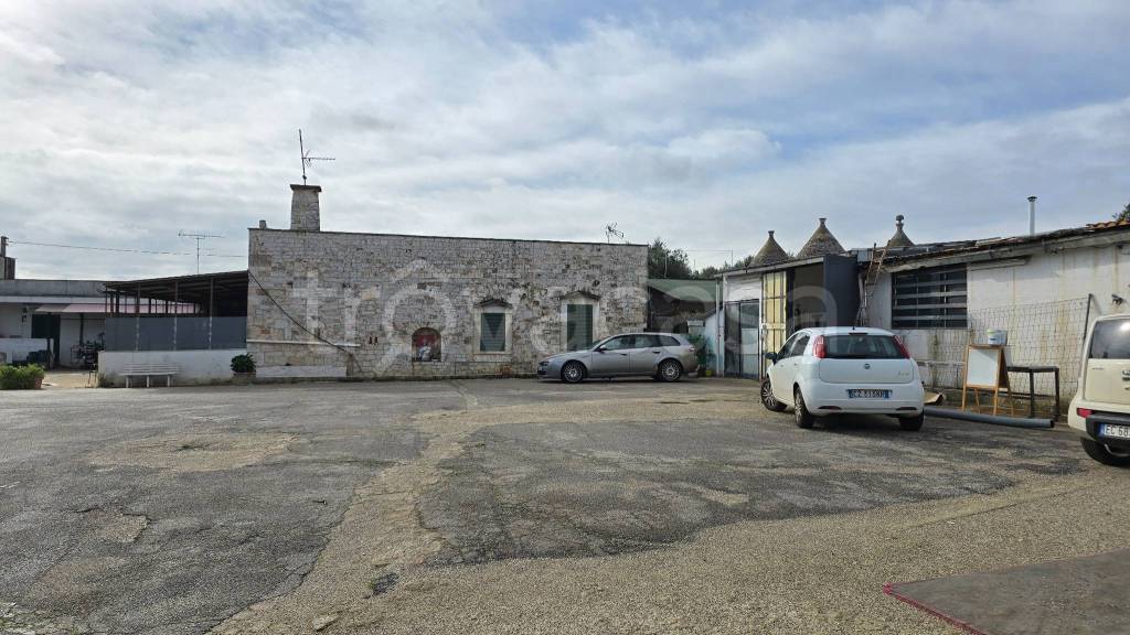 immagine annuncio 2 di 12