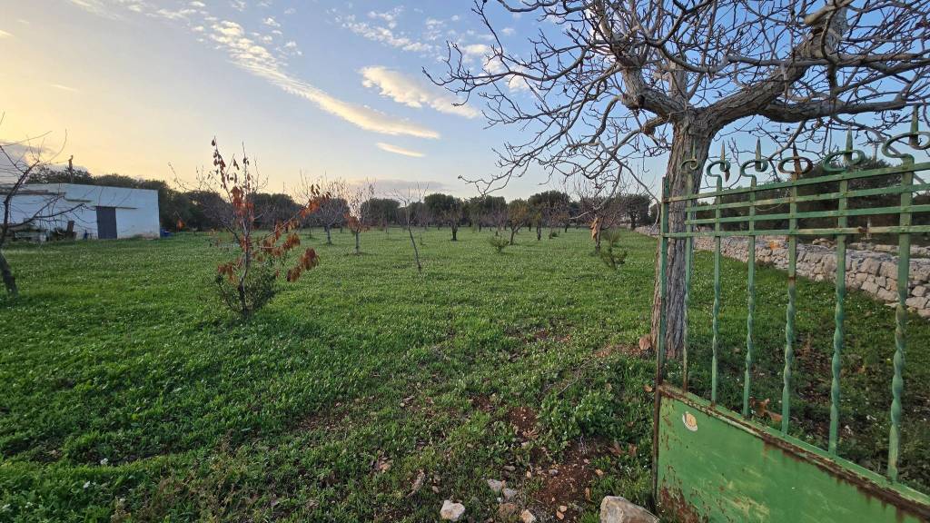 immagine annuncio 6 di 12