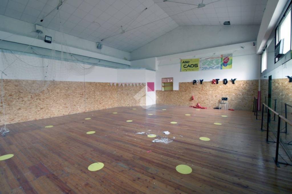 immagine annuncio 1 di 14