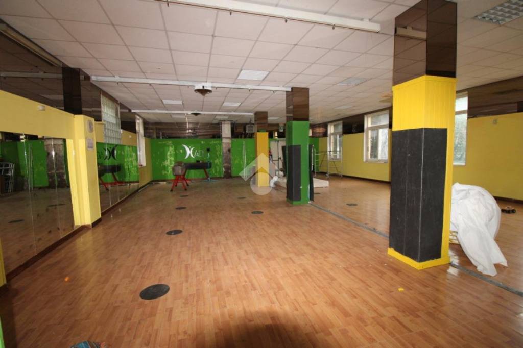 immagine annuncio 4 di 14