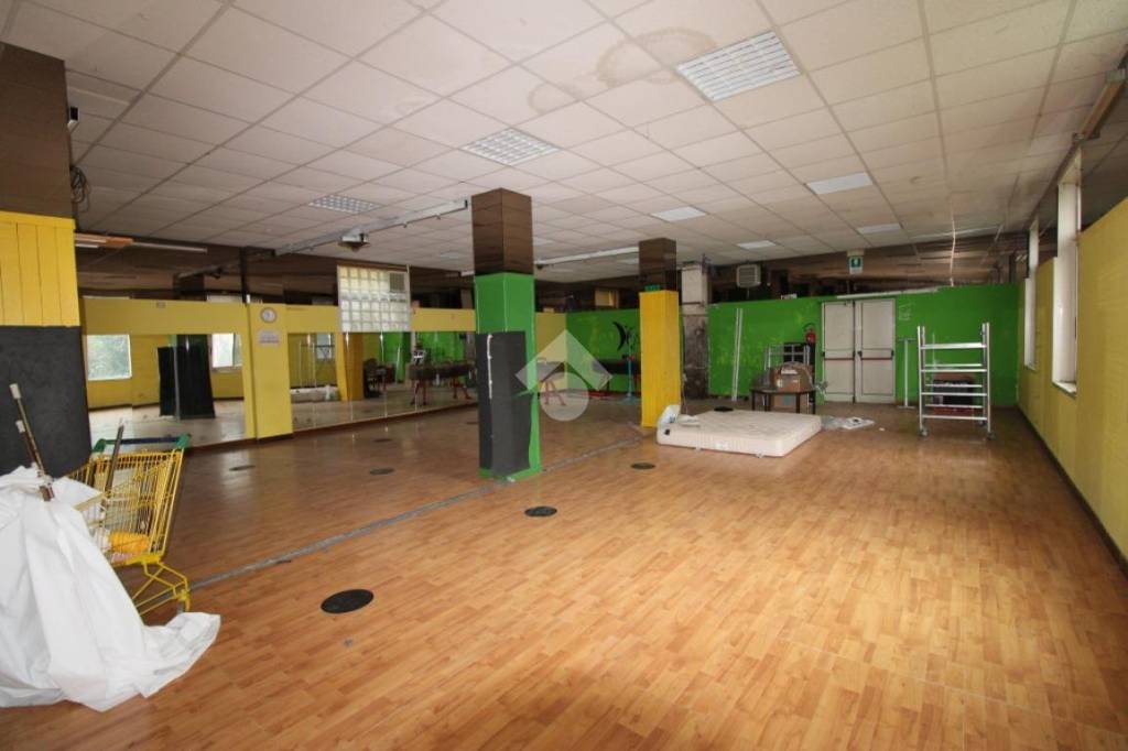 immagine annuncio 5 di 14