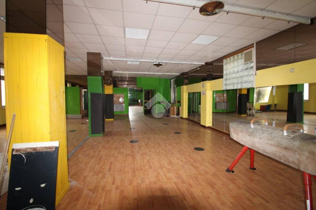 immagine annuncio 6 di 14