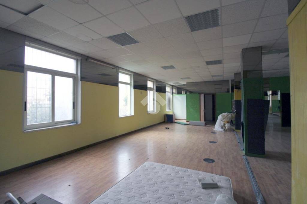 immagine annuncio 7 di 14