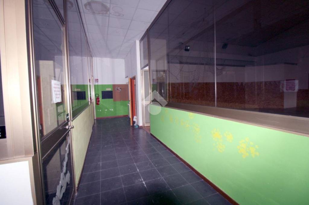 immagine annuncio 12 di 14