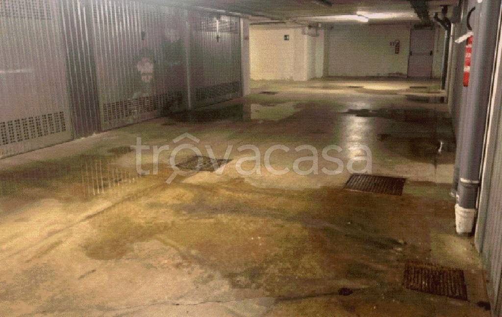 immagine annuncio 2 di 11