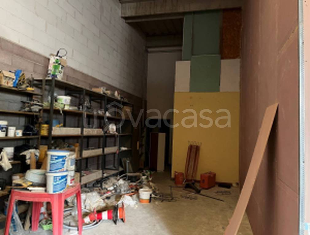 immagine annuncio 2 di 12