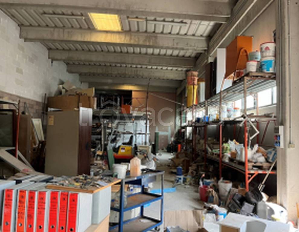 immagine annuncio 5 di 12