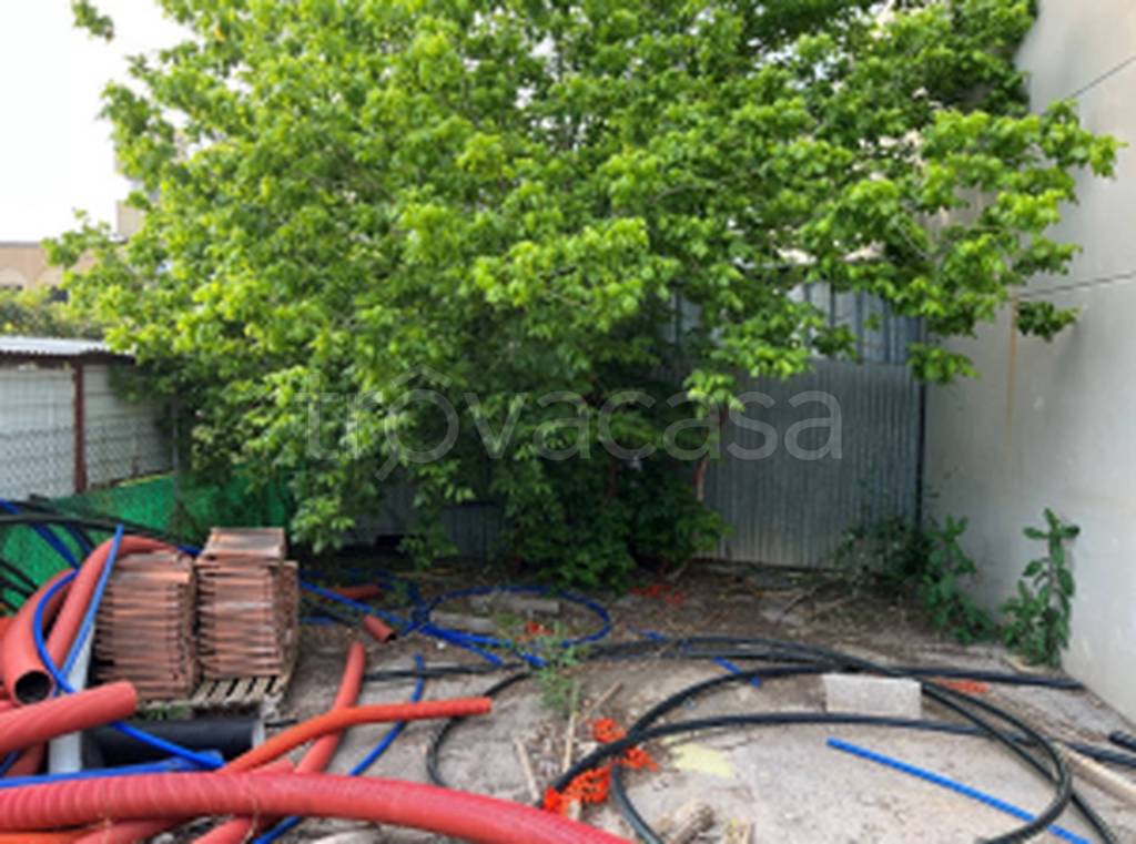 immagine annuncio 6 di 12