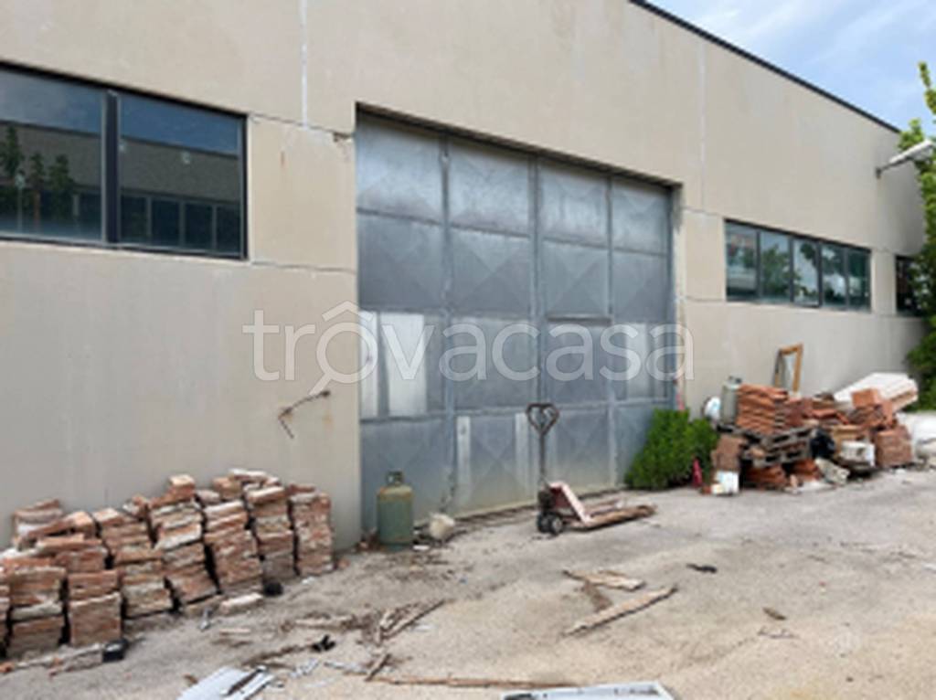 immagine annuncio 7 di 12