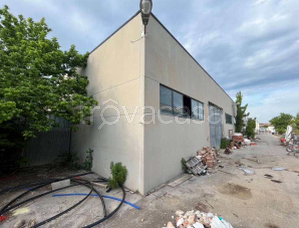 immagine annuncio 8 di 12