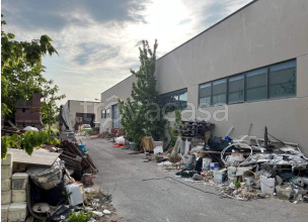 immagine annuncio 9 di 12