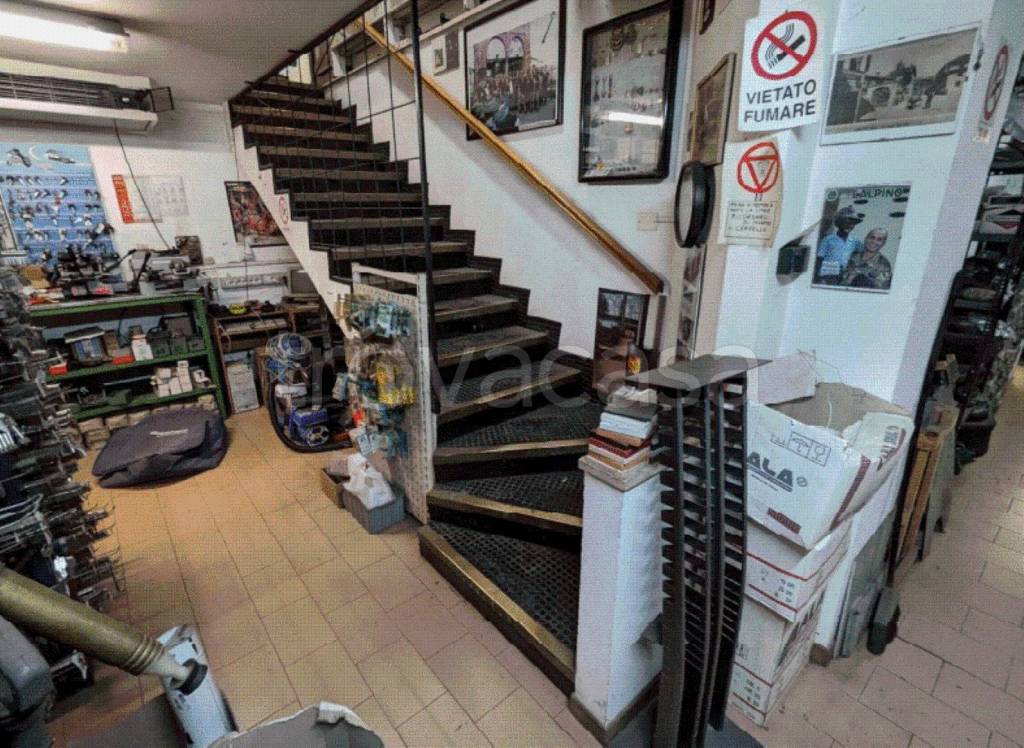 immagine annuncio 1 di 14