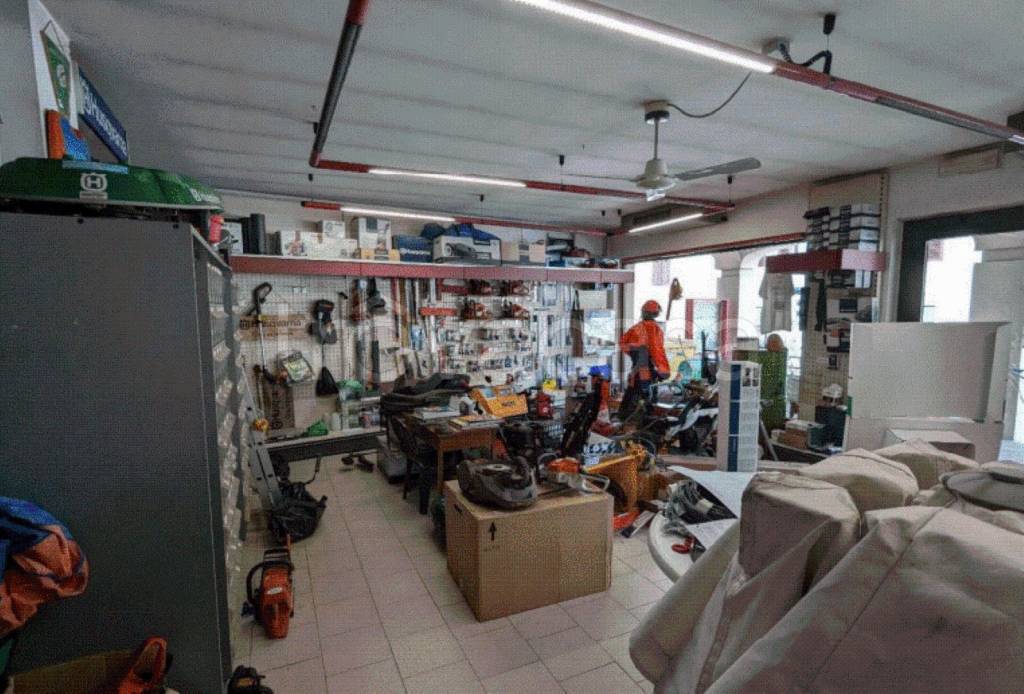 immagine annuncio 4 di 14