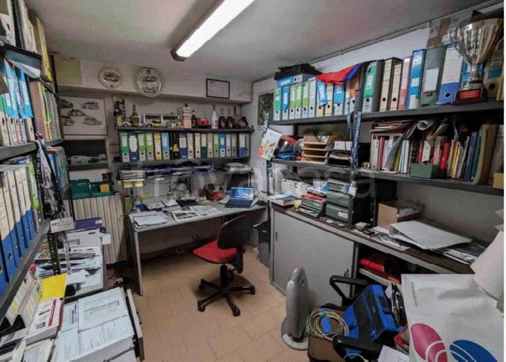 immagine annuncio 7 di 14