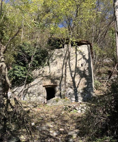 immagine annuncio 1 di 8