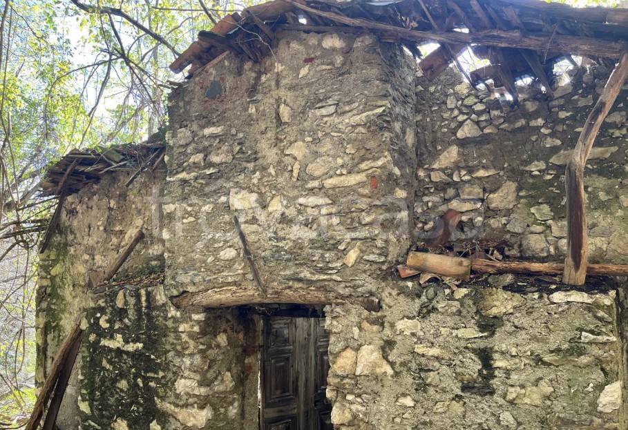 immagine annuncio 4 di 8