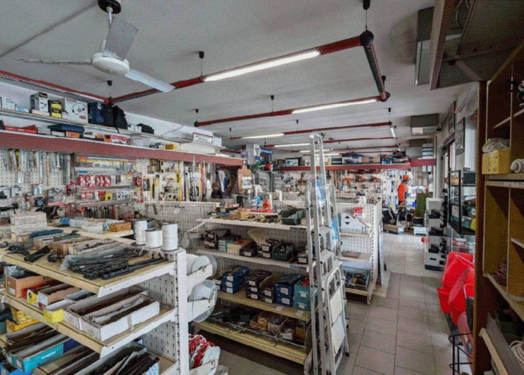 immagine annuncio 11 di 14