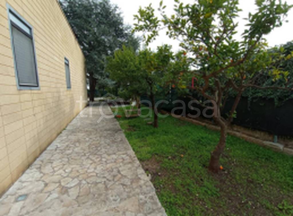 immagine annuncio 5 di 11