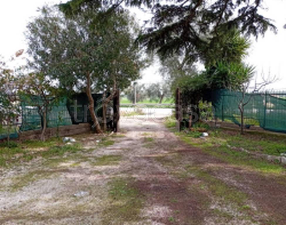 immagine annuncio 8 di 11