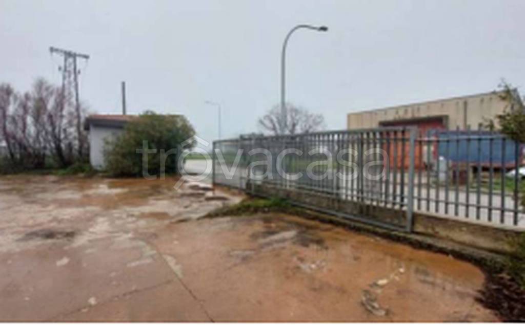 immagine annuncio 4 di 12