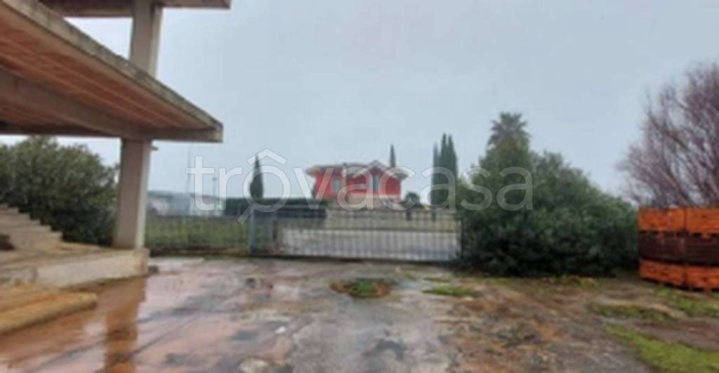 immagine annuncio 5 di 12