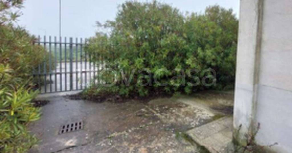 immagine annuncio 7 di 12