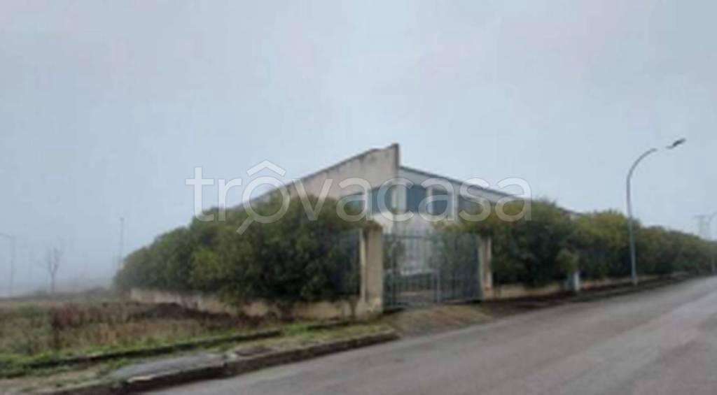 immagine annuncio 9 di 12