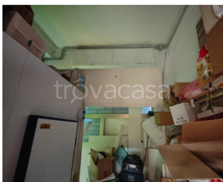 immagine annuncio 9 di 12