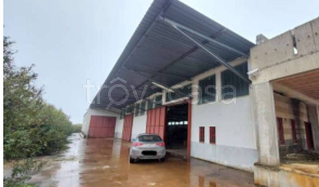 immagine annuncio 10 di 12