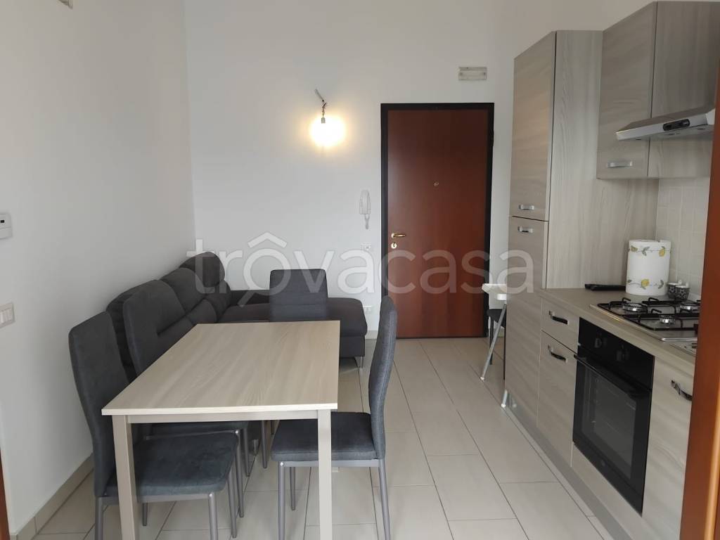 immagine annuncio 6 di 15