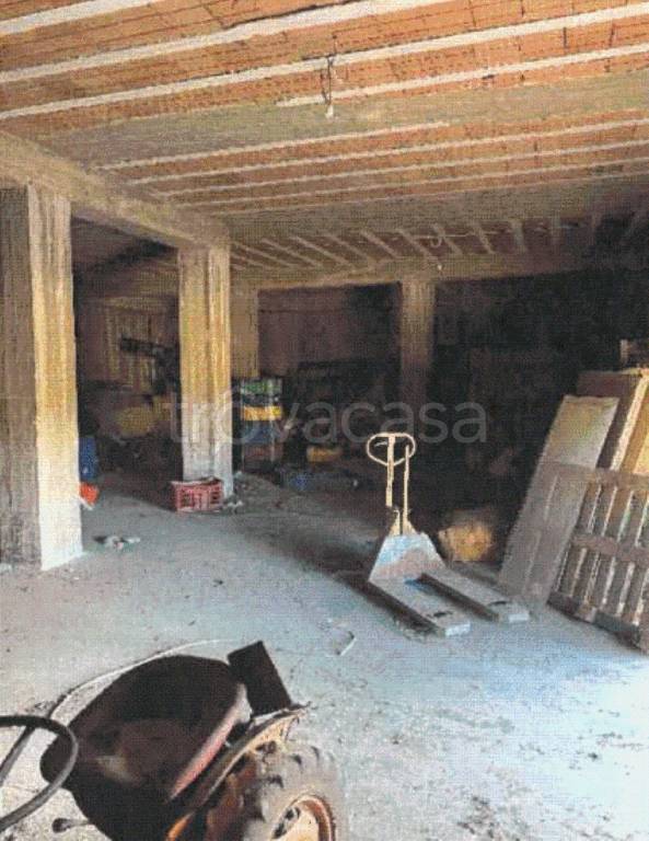 immagine annuncio 4 di 12