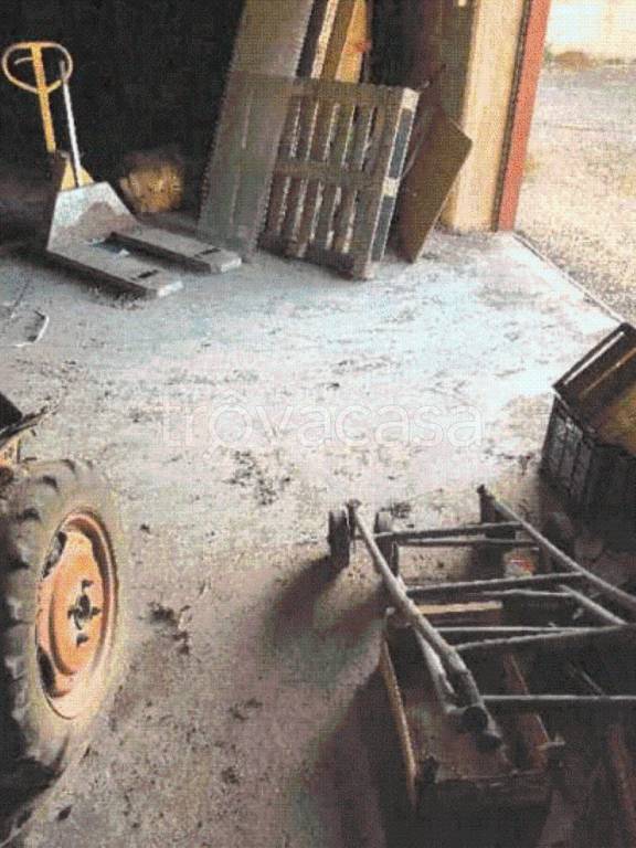 immagine annuncio 6 di 12