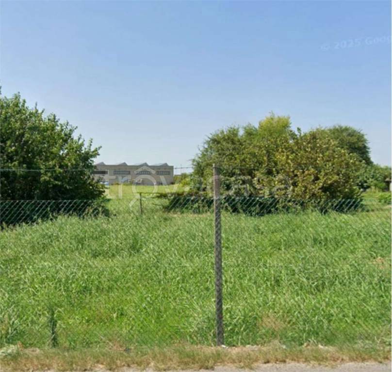 immagine annuncio 5 di 12