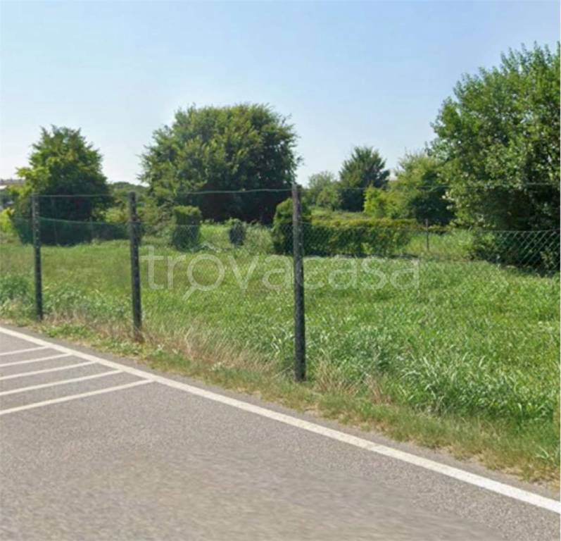 immagine annuncio 6 di 12