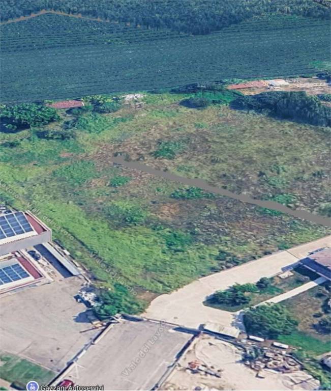 immagine annuncio 10 di 12