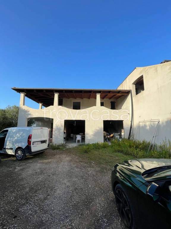 immagine annuncio 4 di 14