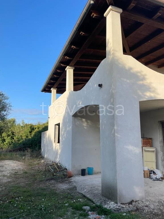 immagine annuncio 5 di 14