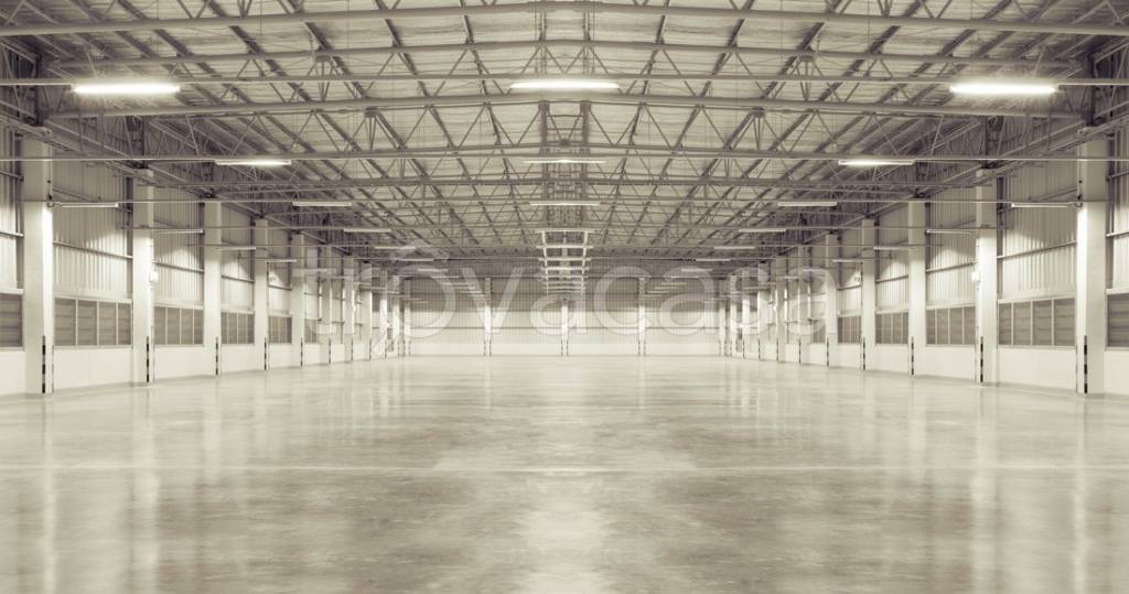 immagine annuncio 3 di 4