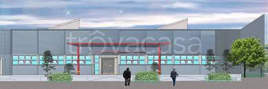 immagine annuncio 2 di 4